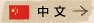 中文