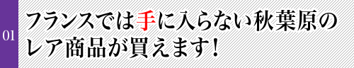 フランスでは手に入らない秋葉原のレア商品が買えます！