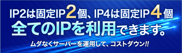 IP2は固定IP2個、IP4は固定IP4個全てのIPを利用できます。